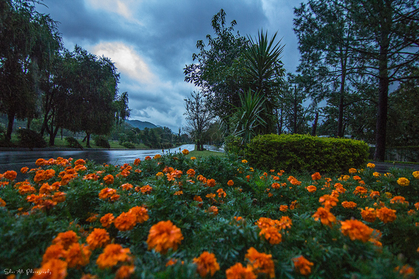 romantic-atmosphere-at-margalla-road.jpg