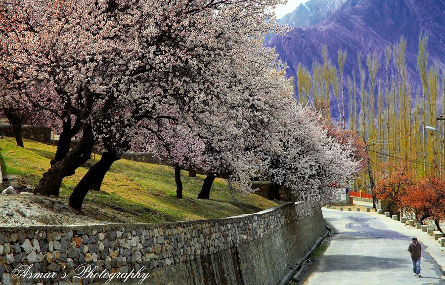 Beautiful+Hunza+!%E2%99%A5!.jpg