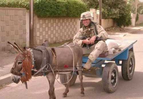 usarmyvehiculnoue.jpg