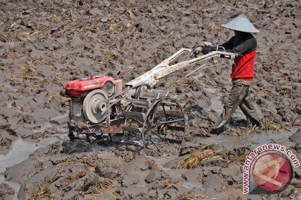 20121207Ongkos-Bajak-Sawah-061212-AS-2.jpg