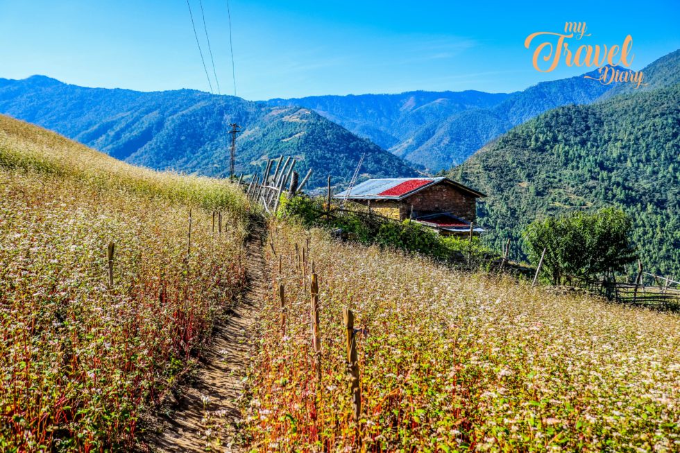 DIRANG-VALLEY-TREK-980x653.jpg