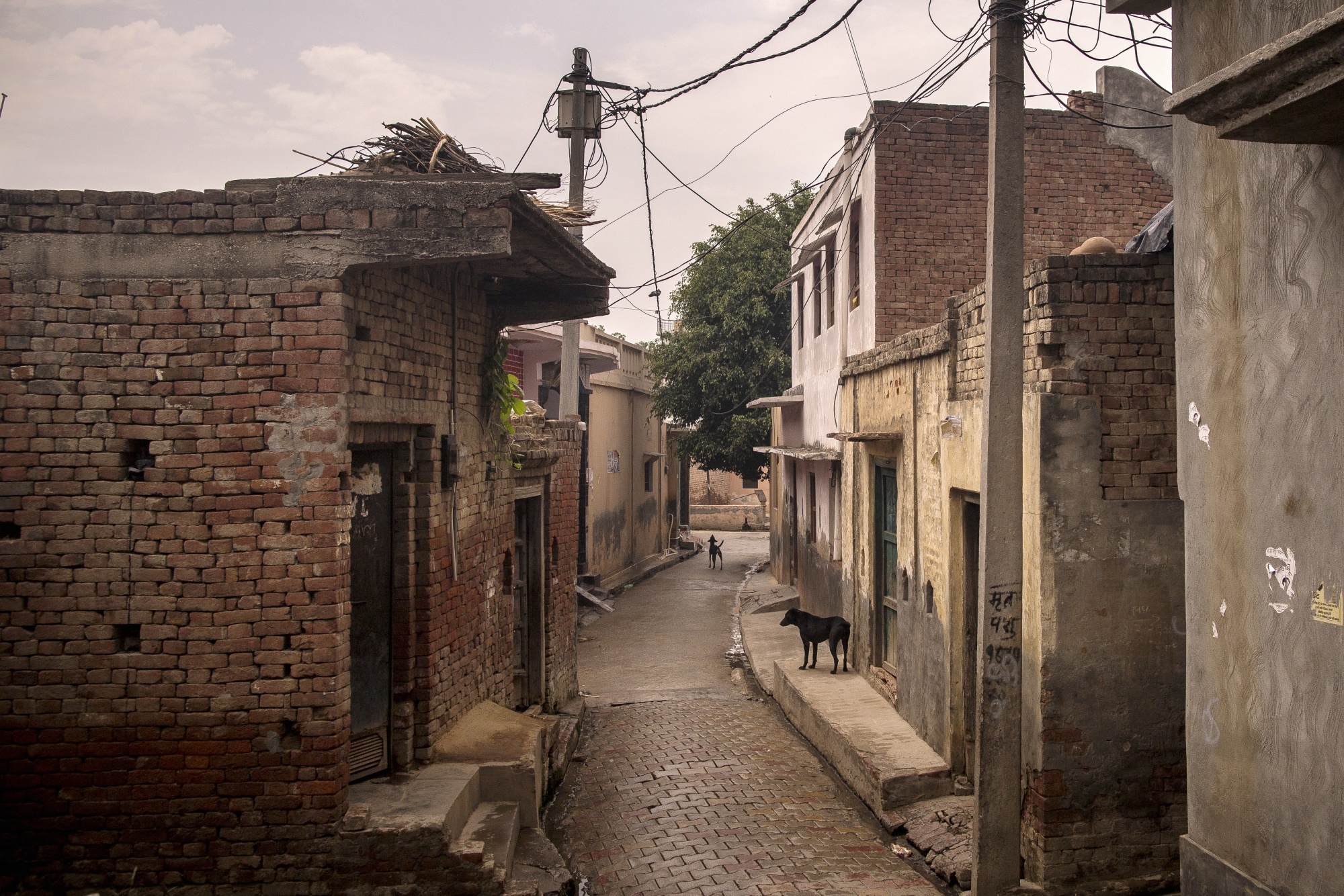 General view of the deserted road in the village Bassi in Baghpath, Uttar Pradesh, India