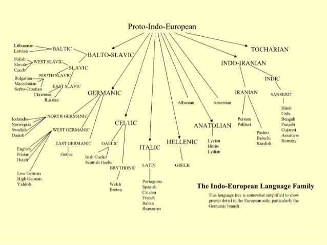 indoeuropean-language-tree-1-638.jpg