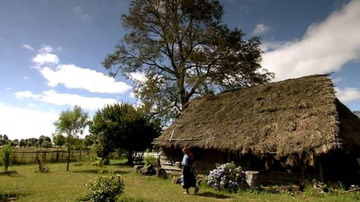 Overview-Mapuche-Chile-700x394.jpg