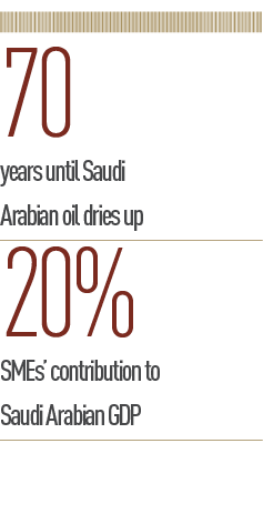 Saudi-Arabia-stats.png