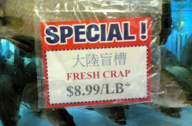 fresh-crap-typo-010.jpg