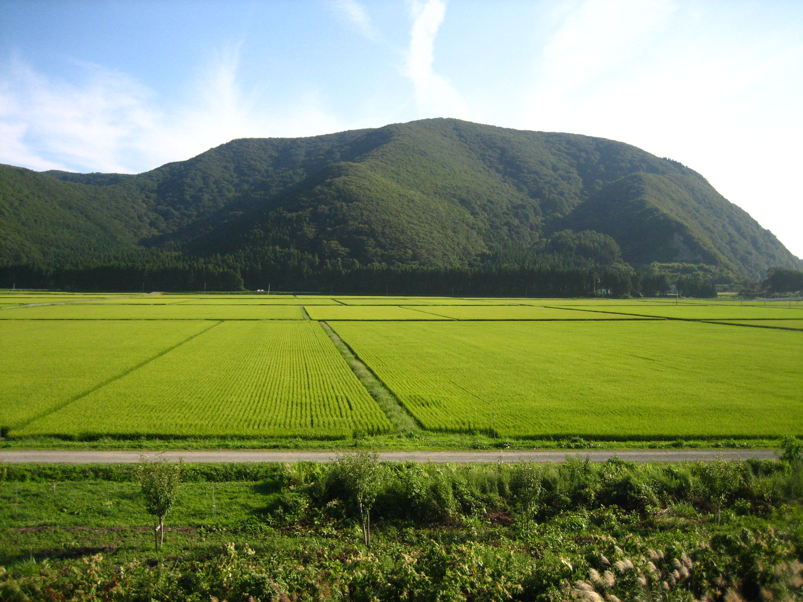 Rice_Paddies_In_Aizu,_Japan.JPG