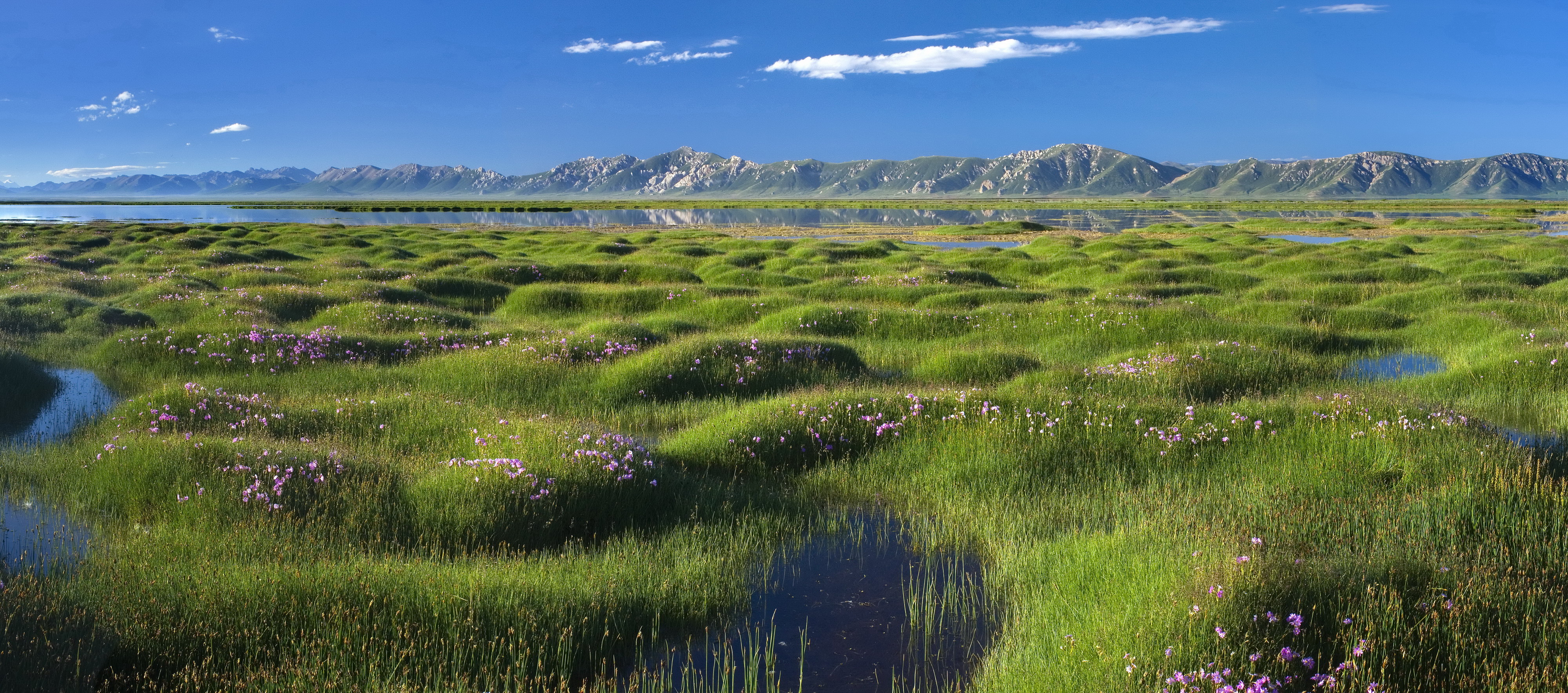 qinghai_donggi_conag_lake.jpg