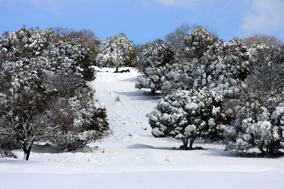 Snow%20Nak%2003.JPG