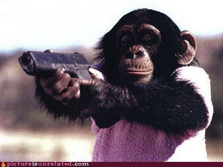 Funny_Animals_With_Guns_7.jpg