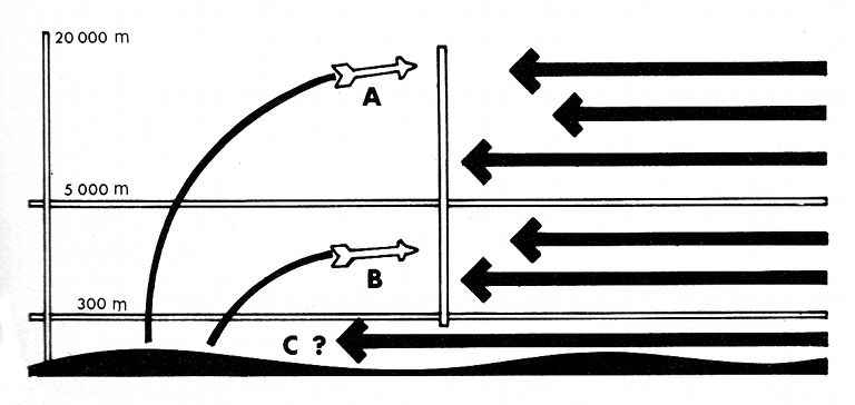 Crotale-Sueur-IDR-Figure-1S.jpg