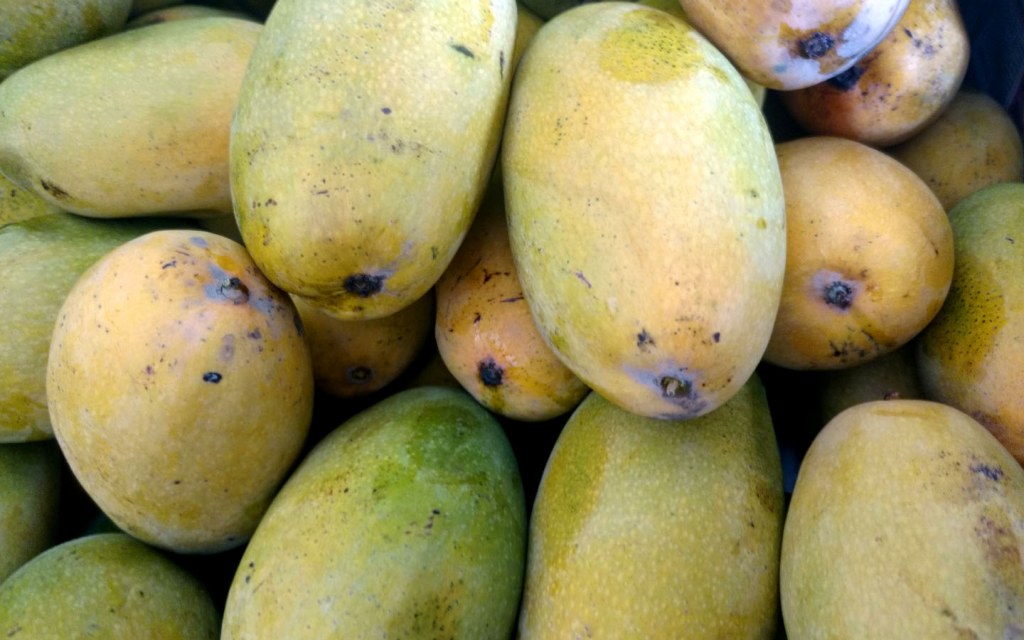 Dussehri Mangoes on sale