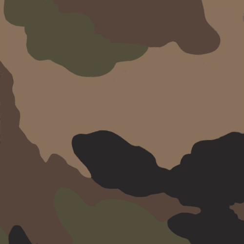 French_Centre_Europe_camo.jpg