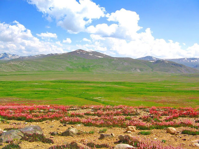 Baltistan.+The+Land+of+Mountains.jpg