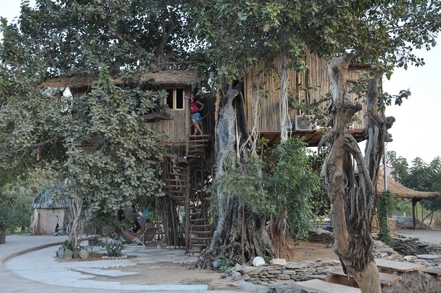 loha_tree_house_2_w.jpg