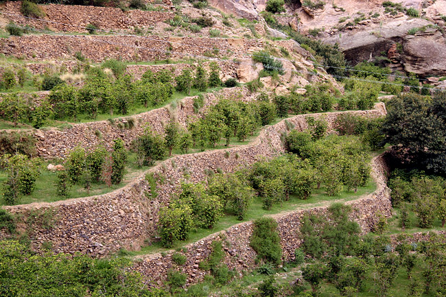 yemen-step-farming.jpg