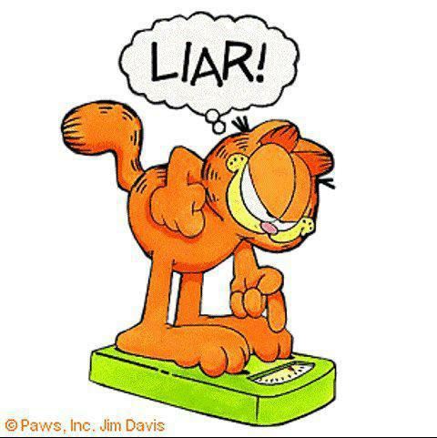 garfield-liar.jpg