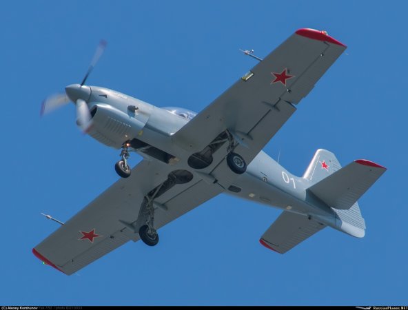 yak152.jpg