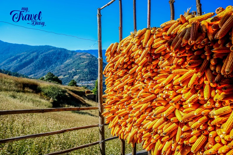 CORN-STACK-IN-THE-VALLEY_DIRANGVALLEY.jpg