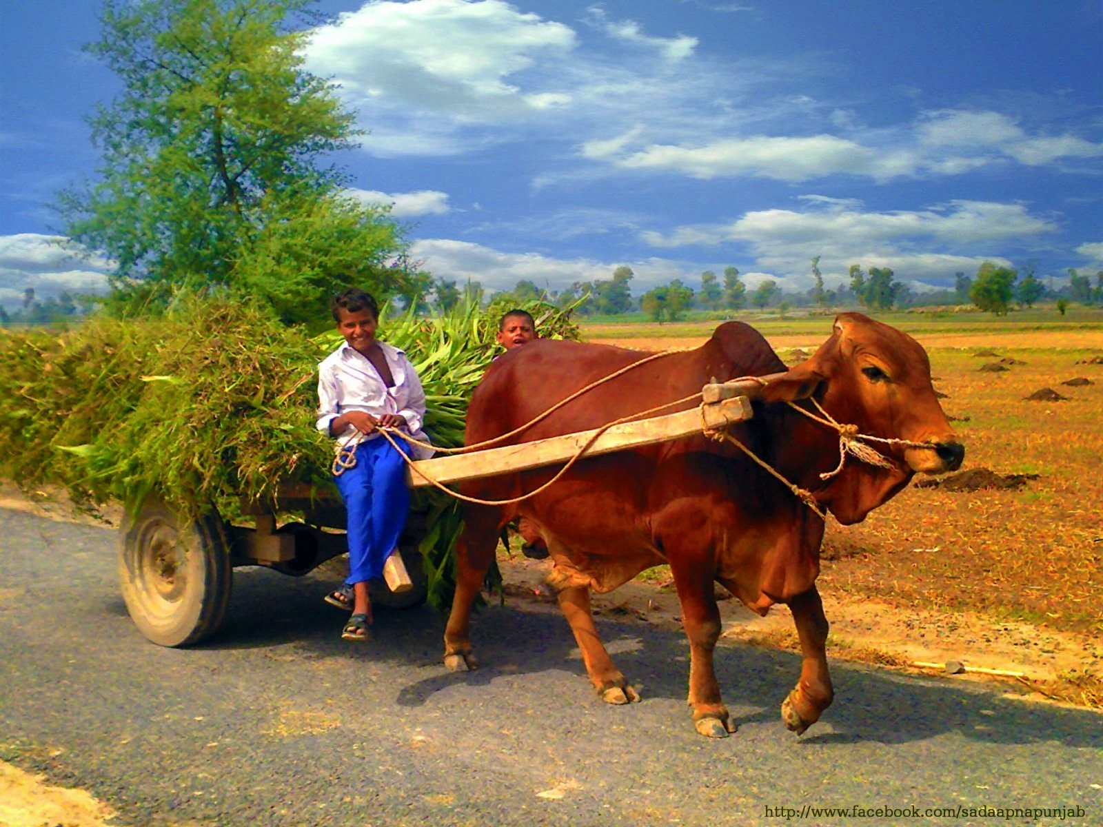 villages-of-punjab-pakistan-.jpg