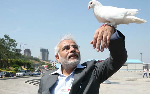 modipigeon.jpg