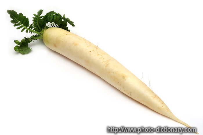 10650white_radish.jpg