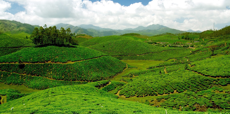 devikulam-hills.jpg