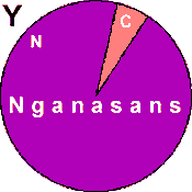 NganasansY_DNA.gif