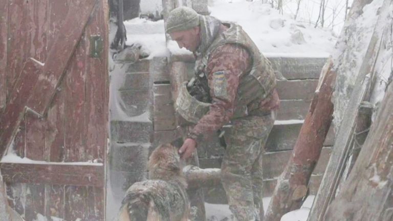 Cats and dogs in Ukrainian trenches