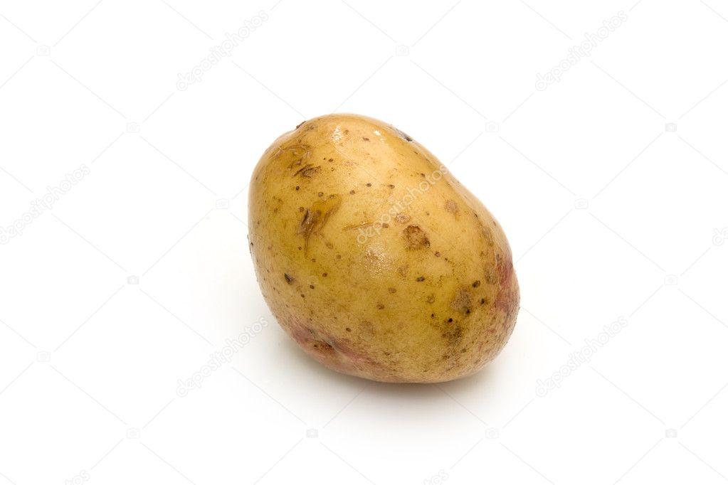 depositphotos_6194458-stock-photo-potatoe-isolated-on-white-background.jpg