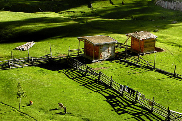 Fairy_Meadows_Hunza_Pak_4922b762e1e8a.jpg