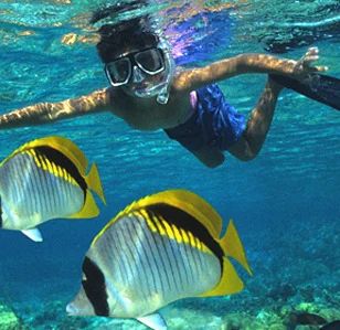 snorkeling-500x500.jpg