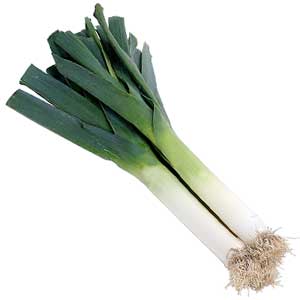 leeks-picked.jpg