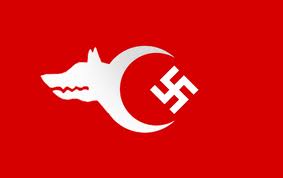 turk-nazi-partisi_654541.jpg