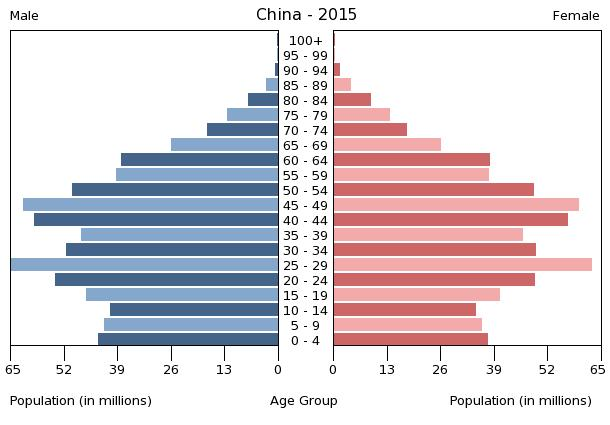 Population_pyramid_of_China_2015.png