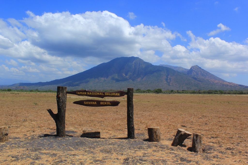 baluran-tour.jpg