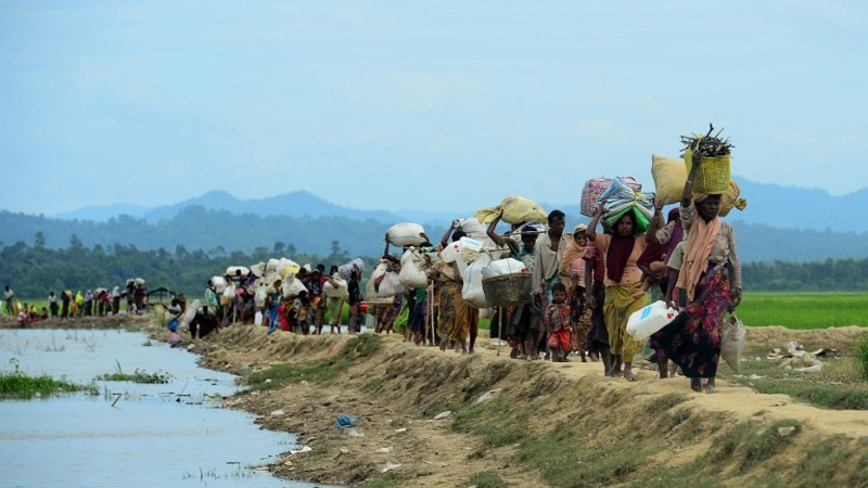 Rohingya-refugee10.jpg