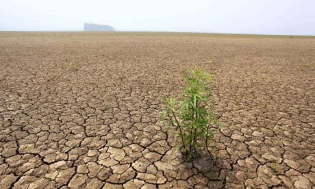 China-lake-drought-006.jpg