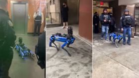 New Yorkers freak out as NYPD deploys Digidog, despite city’s project to ban ‘weaponized robots’