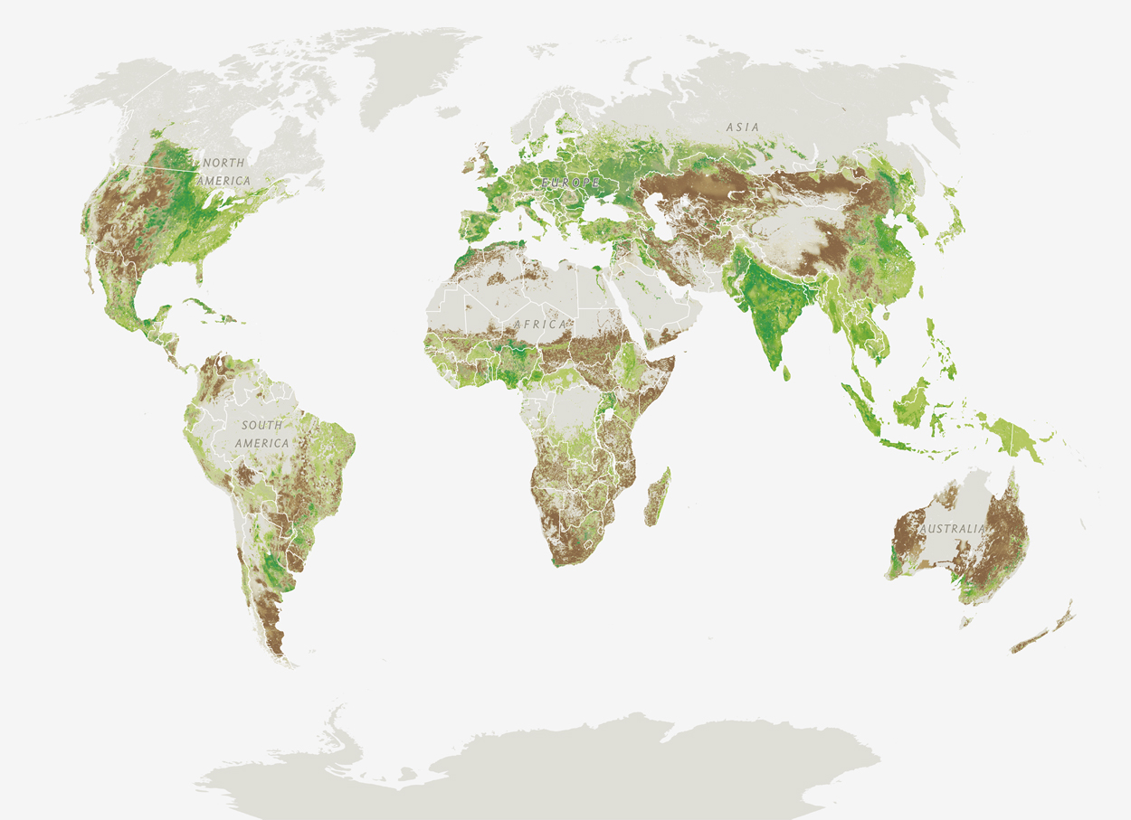 Feeding_9B_cropland_1.jpg