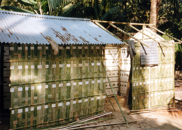 Bamboo_hut_in_Sylhet,_Bangladesh.jpg