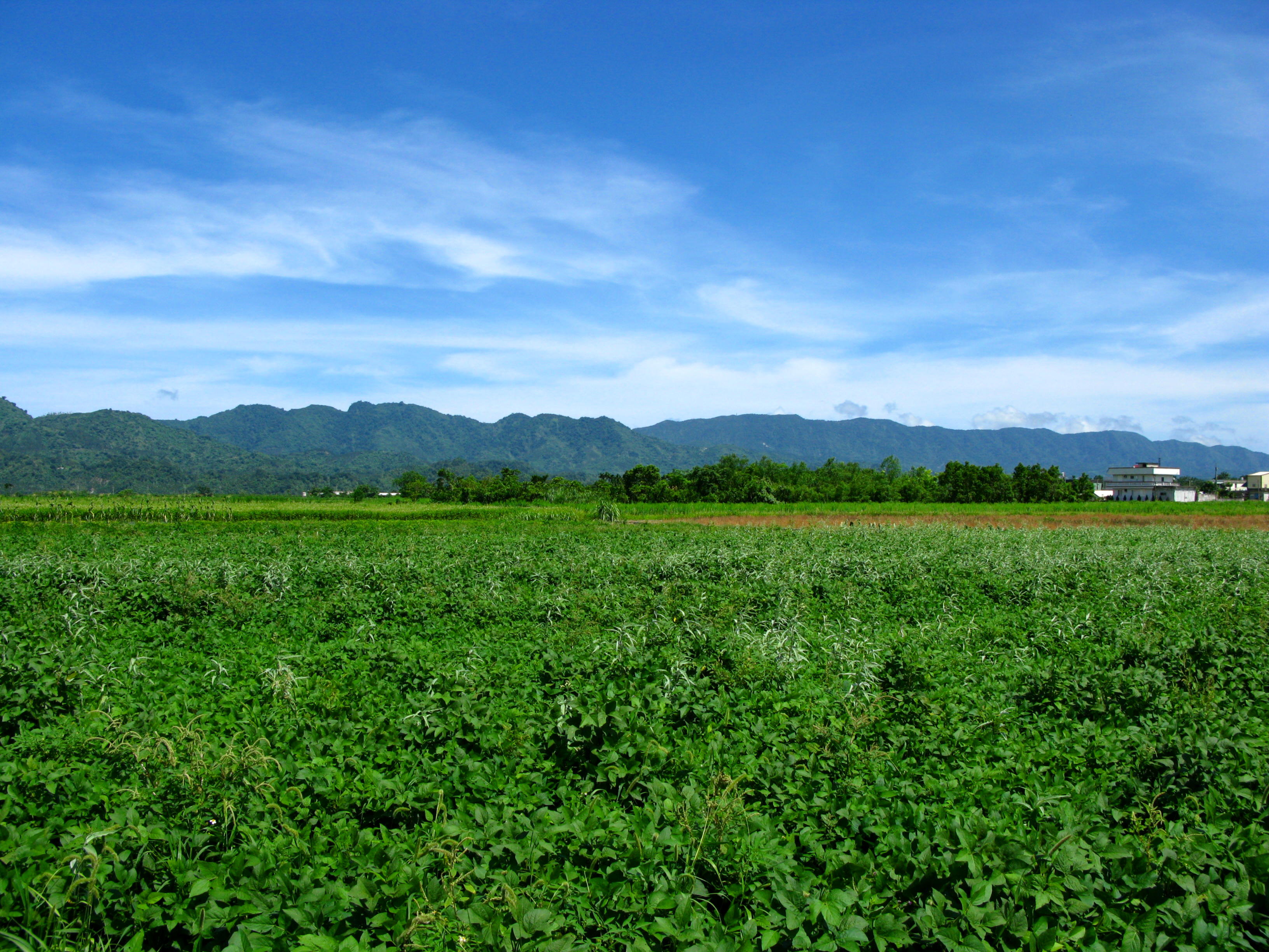 Haian_Range%2C_Taiwan.jpg