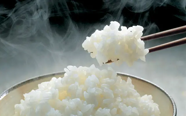 Quality-Japanese-Rice-MOQ-10kg.jpg