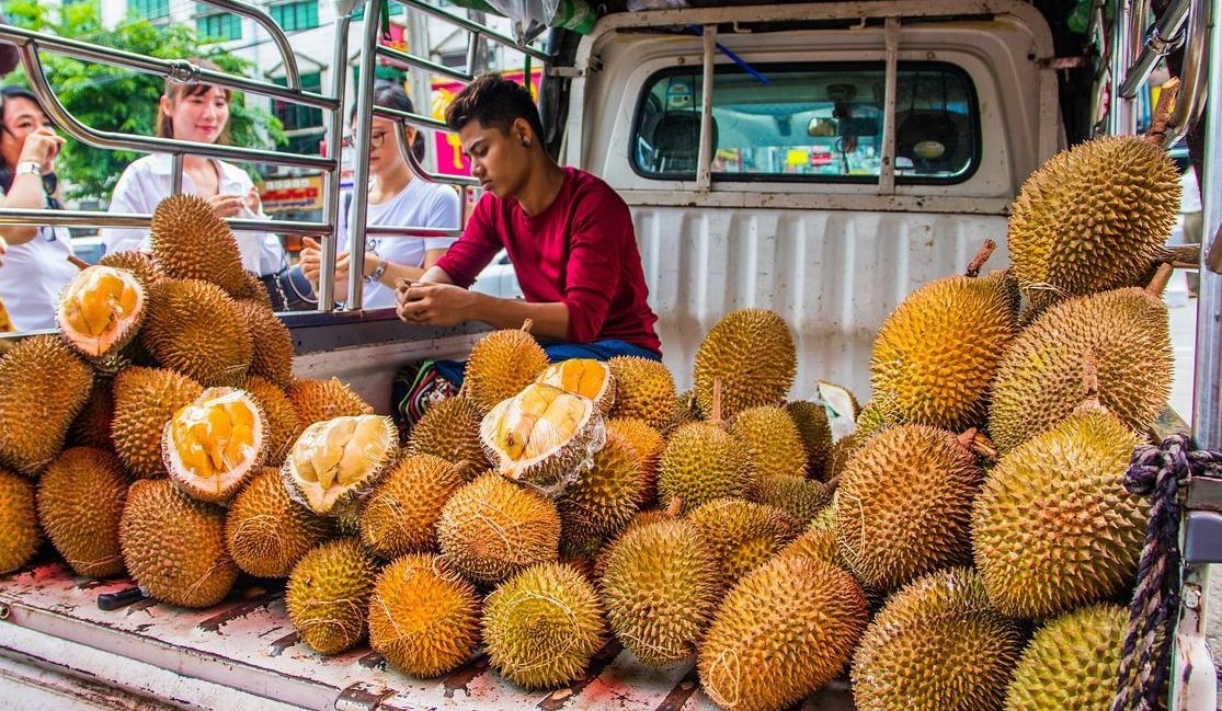 'Durian diplomacy' refers to the trading relationship China has with countries that export durians.