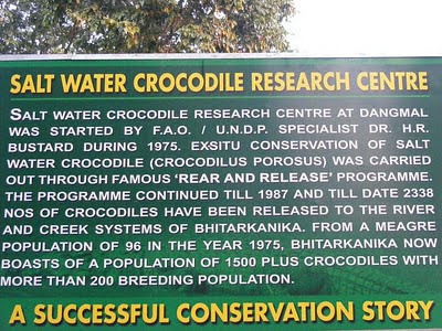 10%2BBhitarkanika%2BCrocodile+Conservation.JPG