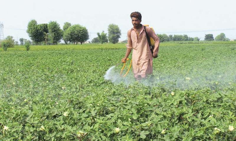 In this file photo, a farmer in Multan sprays pesticide in a field. — APP/File