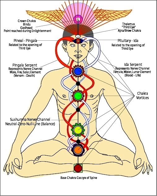 Chakras.jpg