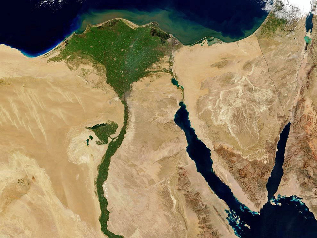 freshwater-nile-large.jpg