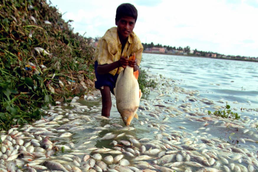 bengaluru-lakes.jpg