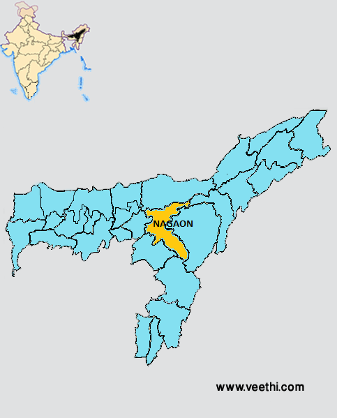 nagaon_district_map.png